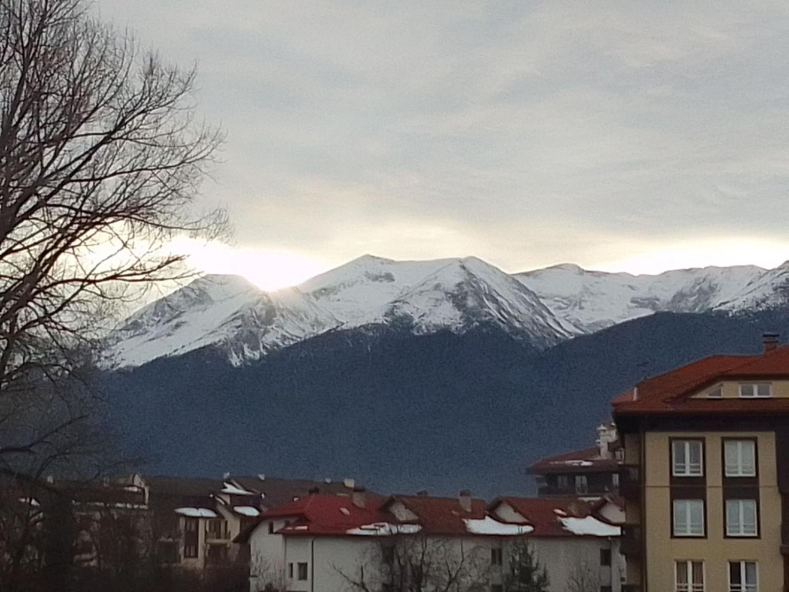 Daire Sapphire Mountain 1 Bansko